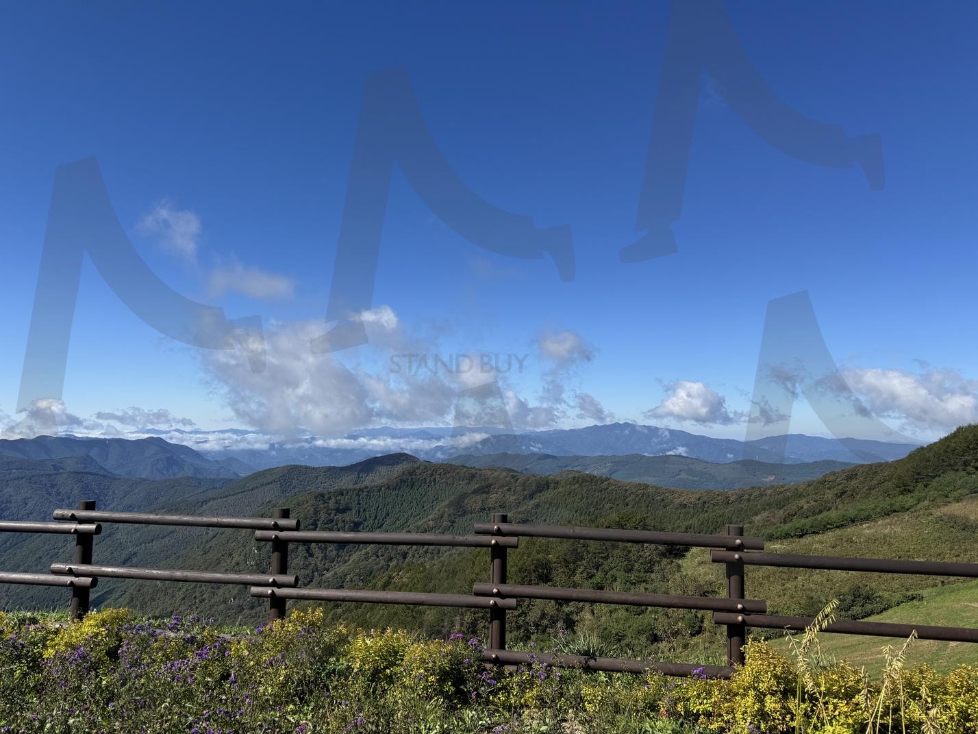 육백마지기에서 본 자연풍경 | 육백마지기, 자연, 풍경, 하늘, 초원, 들판, 강원도, 정선 | 스탠바이 STANDBUY 디지털 콘텐츠