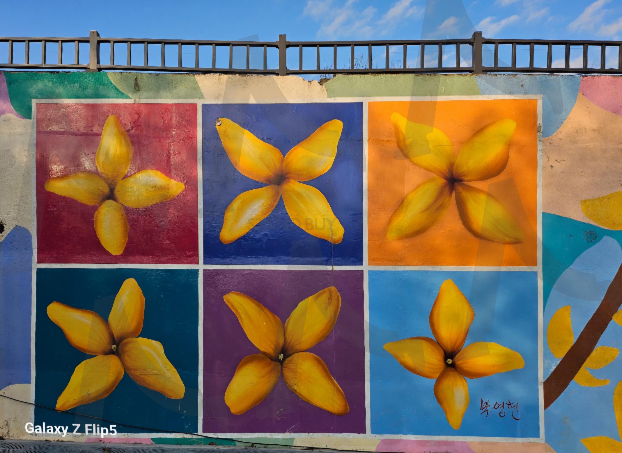 전주 향교 주차장 앞 | 전주향교, 들어가는 길, 벽아트, 예술가들, 꽃, 잔치, 소소한 행복, 사진무조건, 찍게되는곳 | 스탠바이 STANDBUY 디지털 콘텐츠