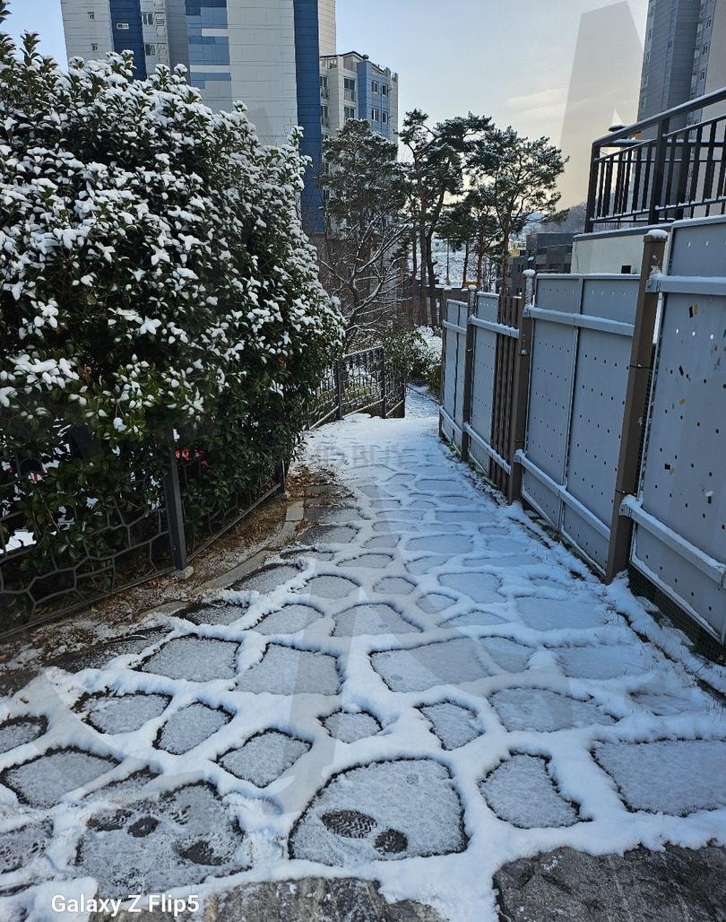 중화산동 눈온날 | 소복소복, 눈, 깨끗한, 전주, 중화산동 | 스탠바이 STANDBUY 디지털 콘텐츠