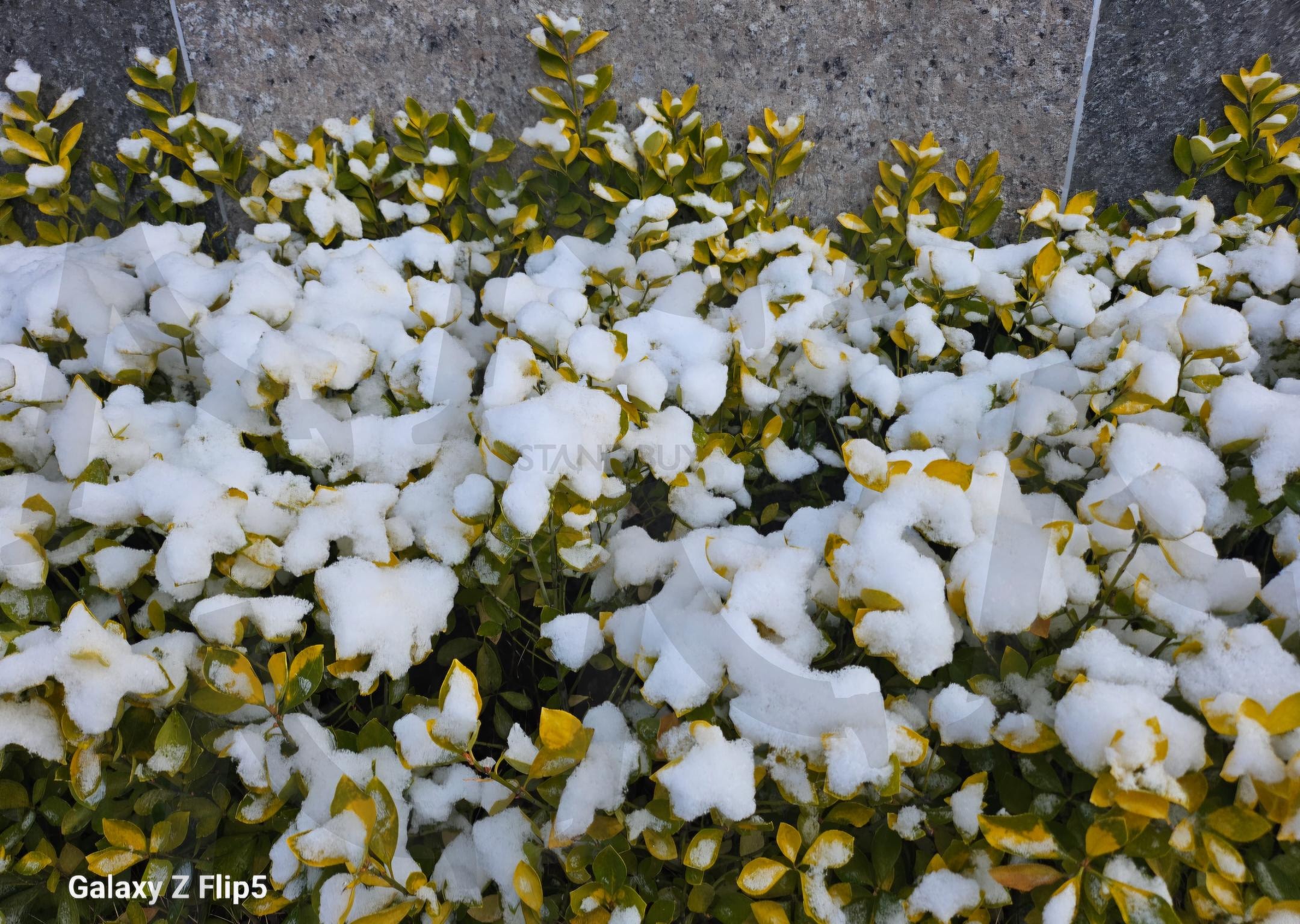 12월 28일 눈온 날 | 눈, 아름다운 한국, 겨울, 소복소복, 눈사람, 장갑, 목도리 | 스탠바이 STANDBUY 디지털 콘텐츠