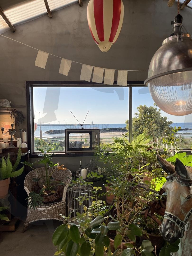 제주 구좌읍 하도리카페 / 카페한라산 / 동화 속 분위기 카페 (Jeju Old Jwa-eup Hadori Cafe / Cafe Hanla San / Fairy Tale Cafe) | 구좌카페, 제주도세화카페, 하도리카페, 구좌예쁜카페, 구좌읍카페, 제주도카페, 하도리예쁜카페, 하도리카페추천, 구좌읍카페추천, 카페한라산 | 스탠바이 STANDBUY 디지털 콘텐츠