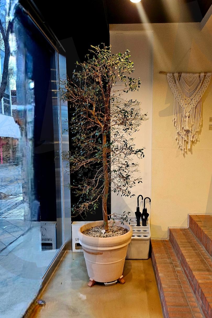 다가여행자도서관 | 다가여행자도서관, 다가동, 입구, 오픈, 마감, 여행자, 여행책자, 인테리어 | 스탠바이 STANDBUY 디지털 콘텐츠