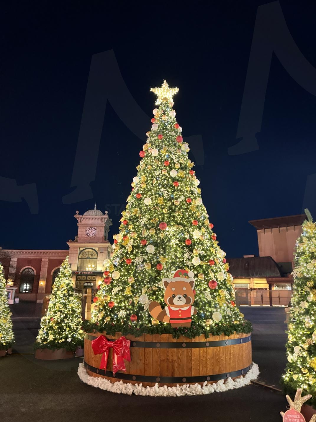 레서판다의 크리스마스 선물 | 크리스마스 트리, 레서판다, 반짝이는 조명, 불빛 축제, 가족 나들이, 선물, 연말, 홀리데이 분위기, 크리스마스 장식 | 스탠바이 STANDBUY 디지털 콘텐츠