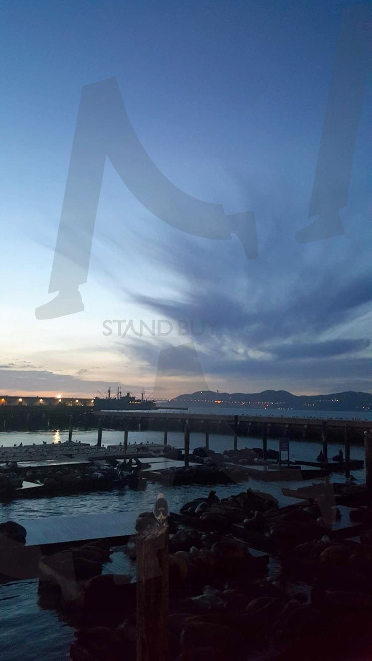 Pier39 The Embarcadero, San Francisco, CA, USA | Pier39, TheEmbarcadero, SanFrancisco, CA, USA | 스탠바이 STANDBUY 디지털 콘텐츠