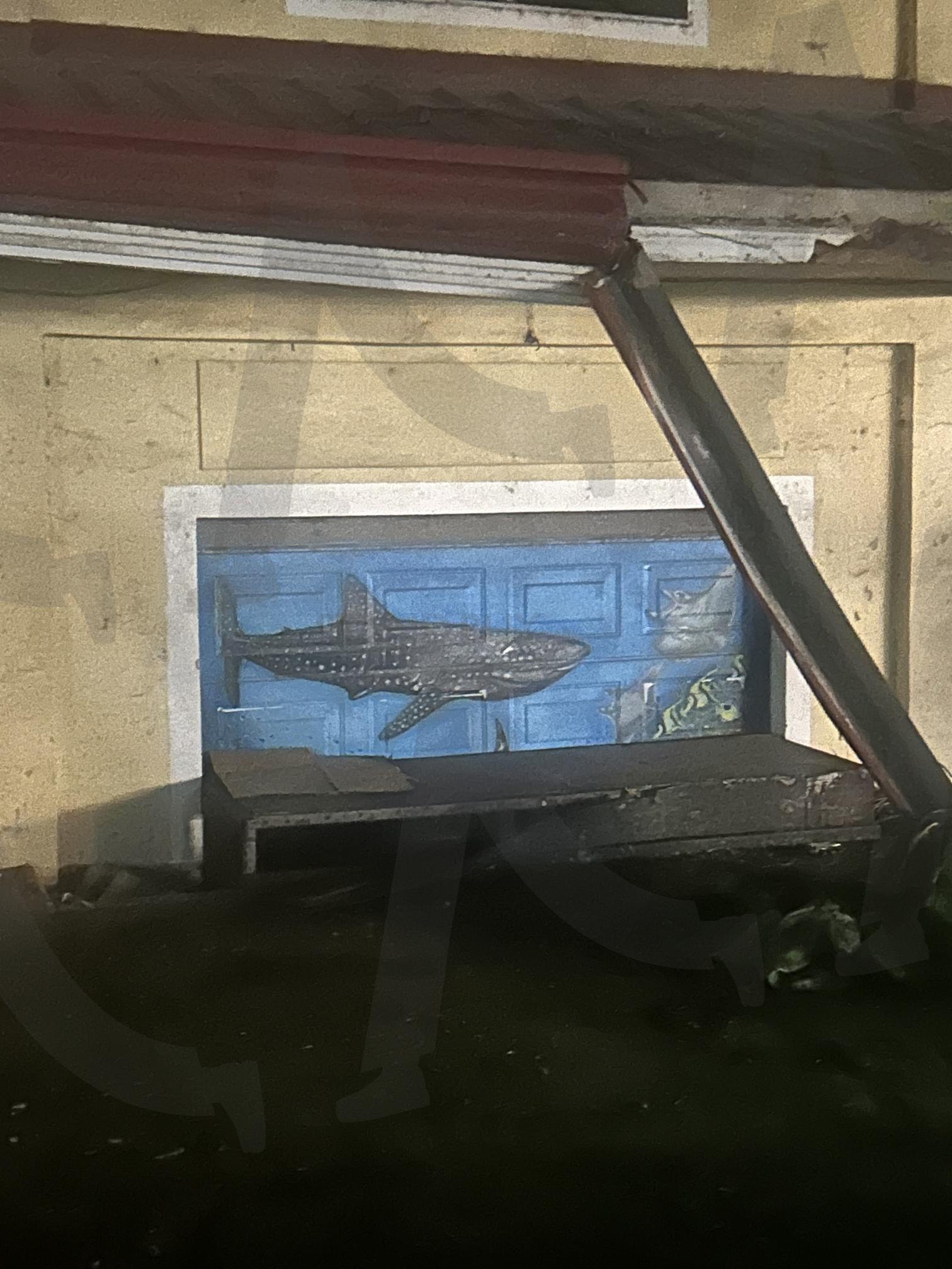 보홀, 필리핀 | 필리핀, 보홀, 팡라오, 고래상어, 벽화 | 스탠바이 STANDBUY 디지털 콘텐츠