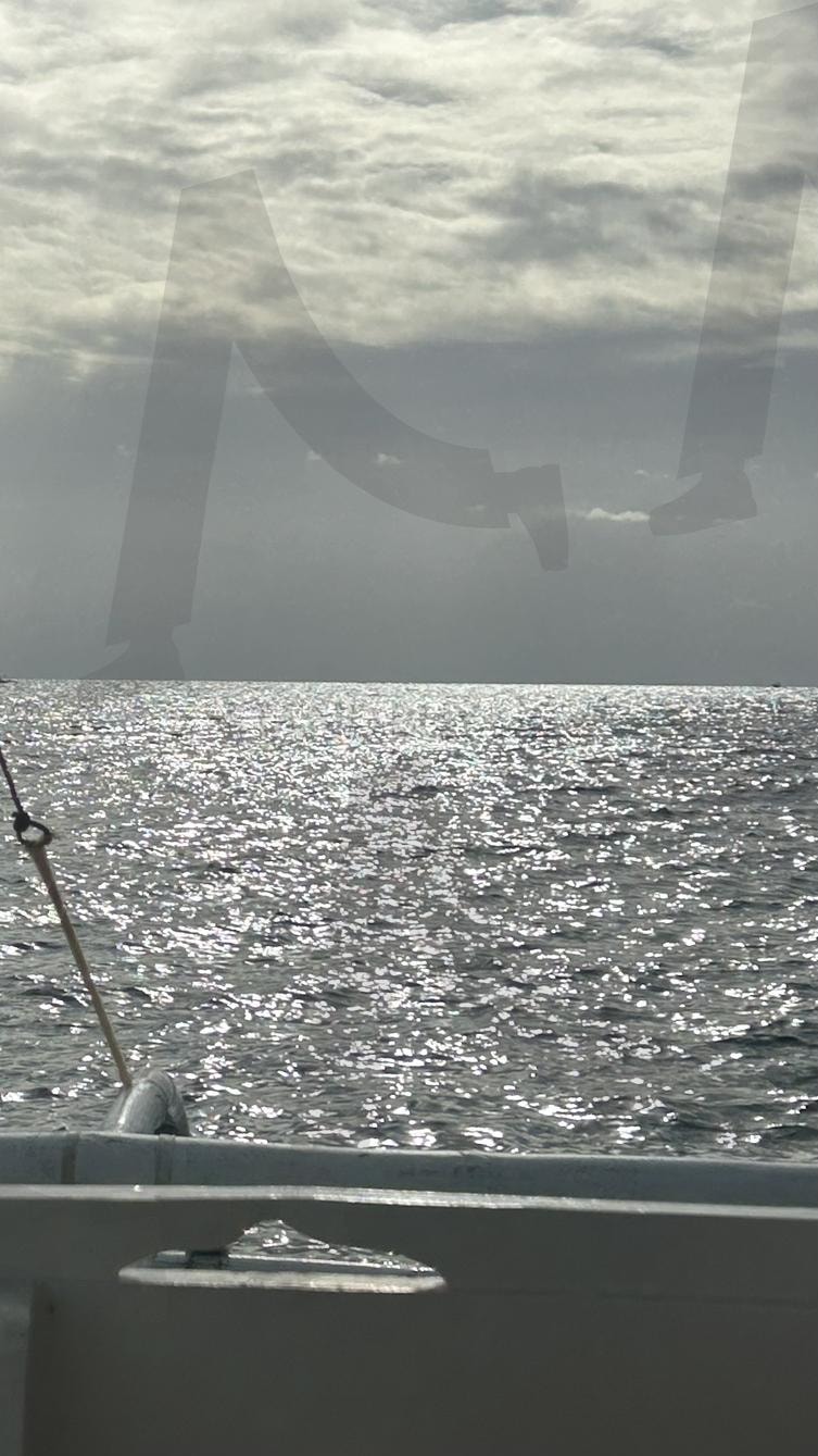 보홀, 필리핀 | 필리핀, 보홀, 발리카삭, 호핑투어, 팡라오, 바다 | 스탠바이 STANDBUY 디지털 콘텐츠