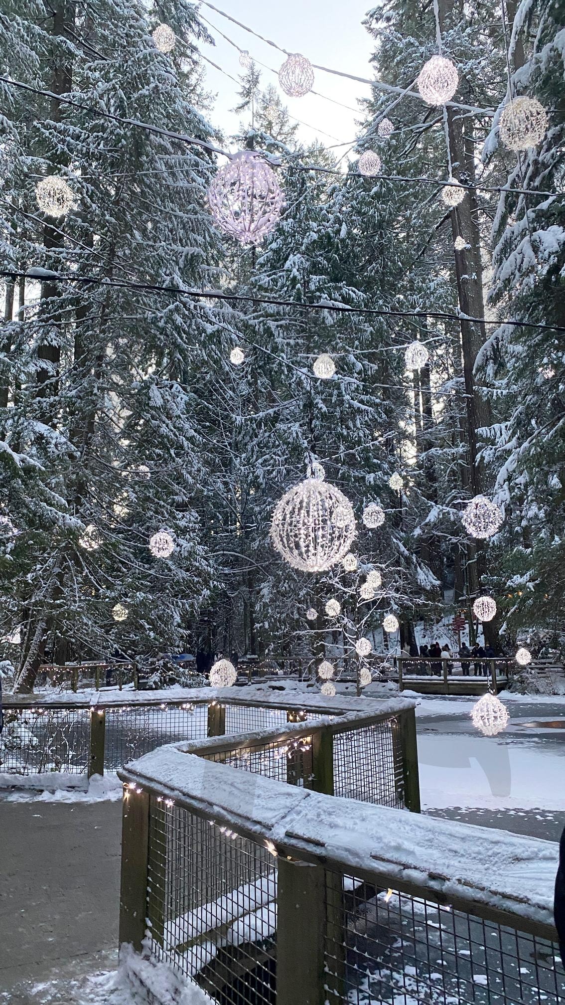 Canyon Lights: Capilano Suspension Bridge | Canyon Lights, Capilano Suspension Bridge, winter, 카필라노 서스펜션 브릿지, 캐나다, 밴쿠버, vancouver, canada | 스탠바이 STANDBUY 디지털 콘텐츠