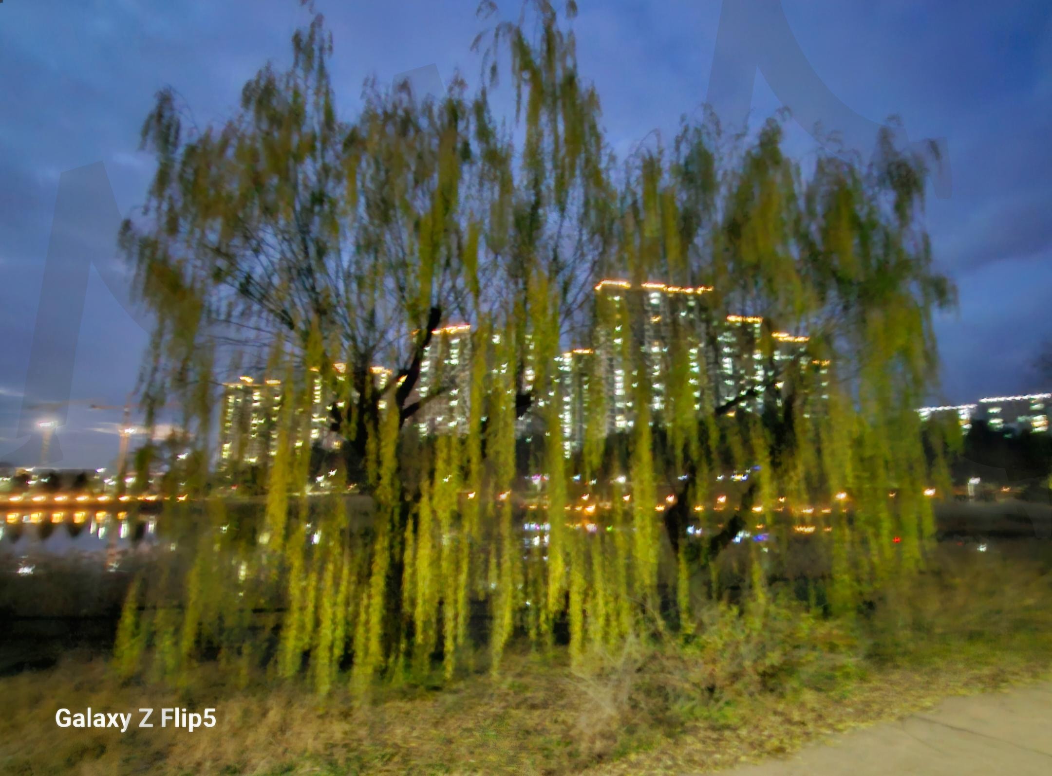 세병공원 느티나무 | 느티나무, 겨울, 분위기, 세병공윈, 춥지만 멋진곳 | 스탠바이 STANDBUY 디지털 콘텐츠