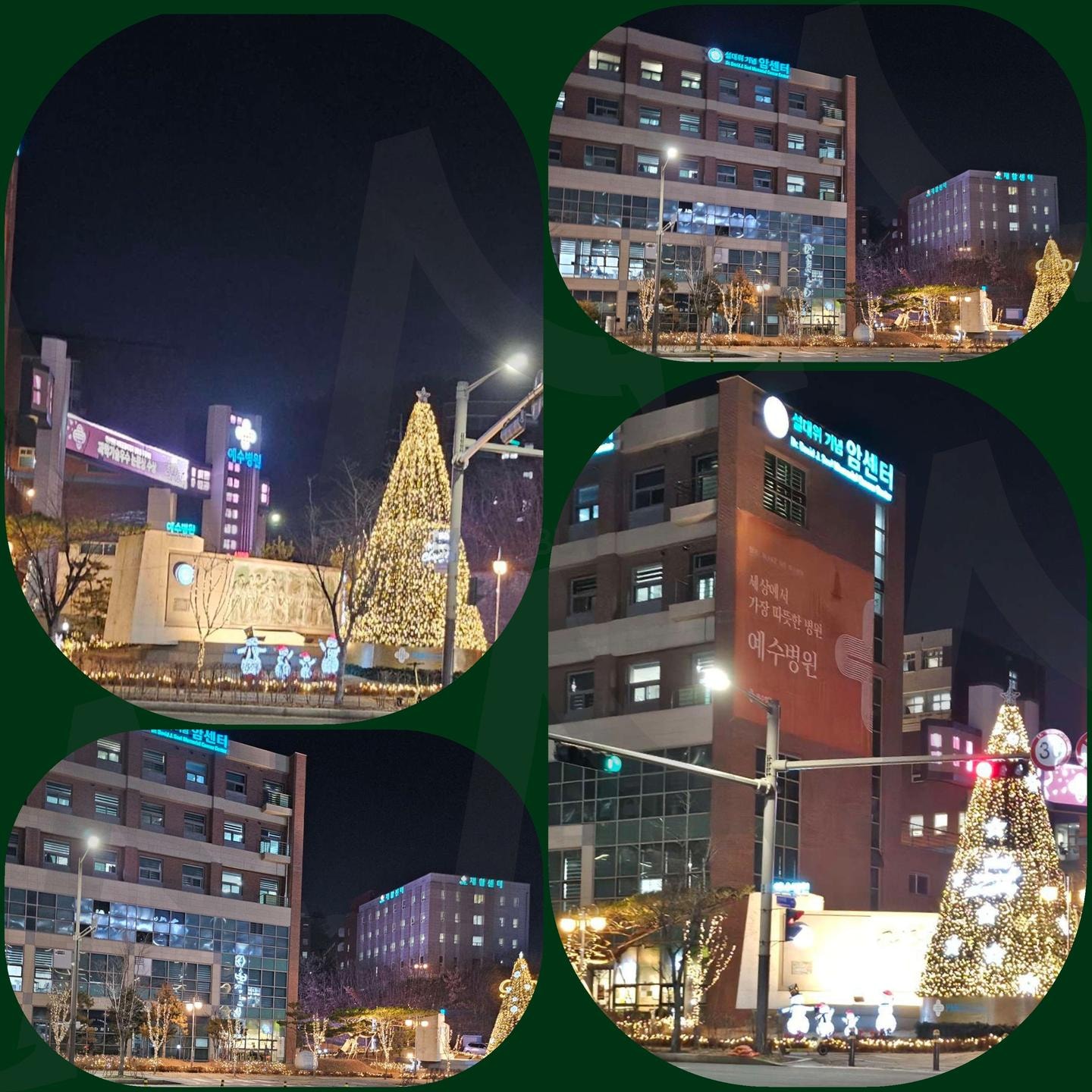 예수병원 야간명소 | 예수병원, 야간명소, 크리스마스, 트리, 핫플레이스 | 스탠바이 STANDBUY 디지털 콘텐츠
