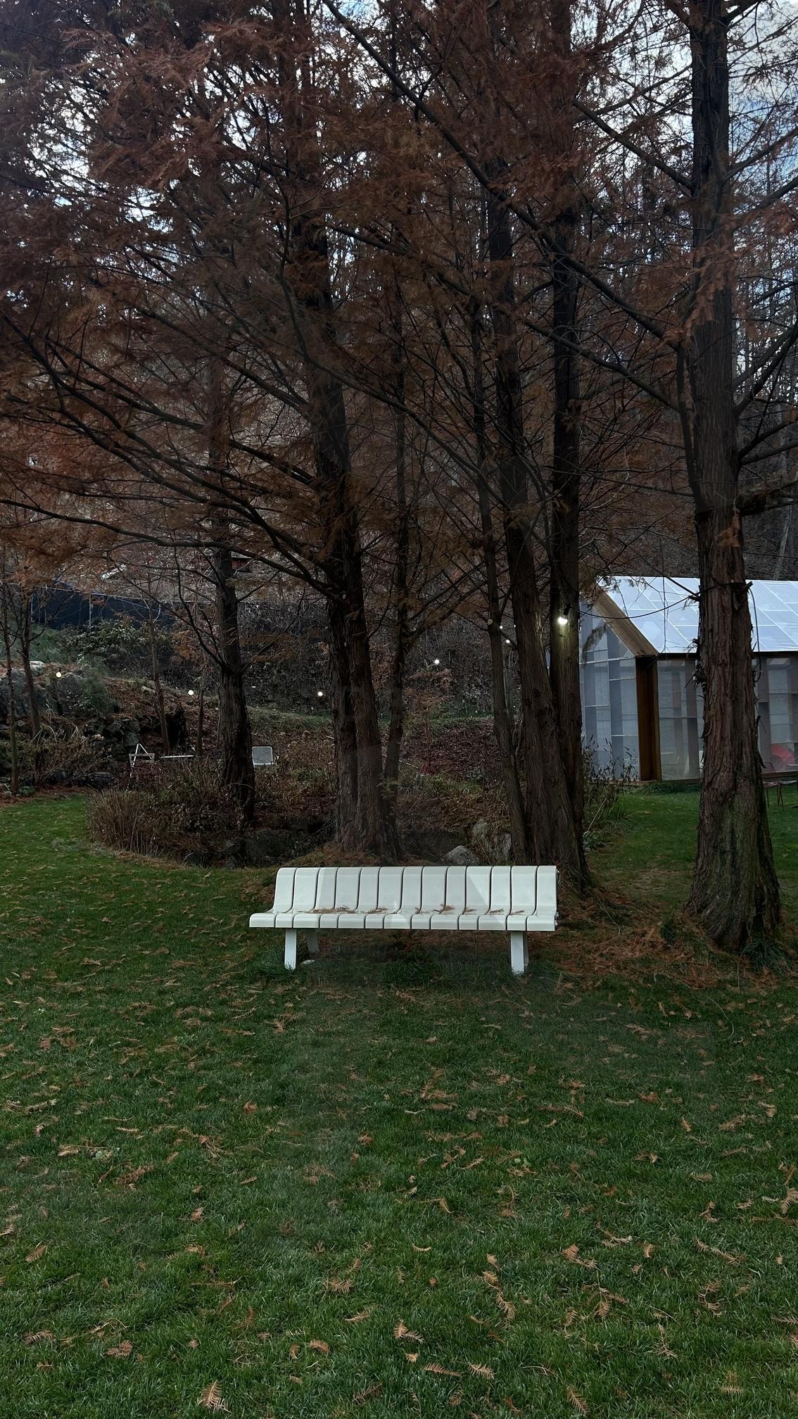 가을 정취 | 가을, 춘천, 카페, 춘천카페, 가을정취 | 스탠바이 STANDBUY 디지털 콘텐츠