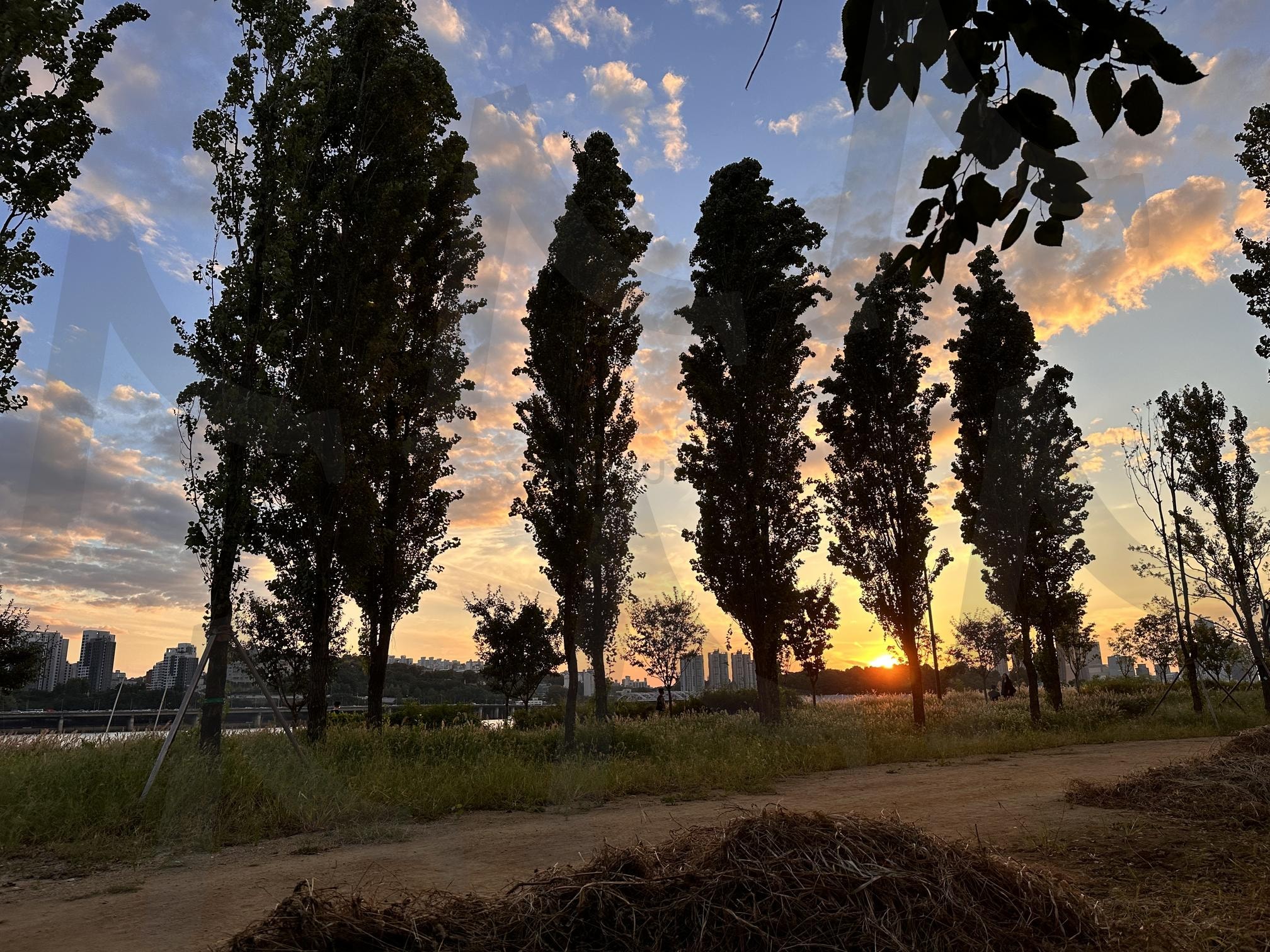 한강 공원 노을 | 한강, 한강공원, 노을, 이촌한강공원, 노을하늘 | 스탠바이 STANDBUY 디지털 콘텐츠