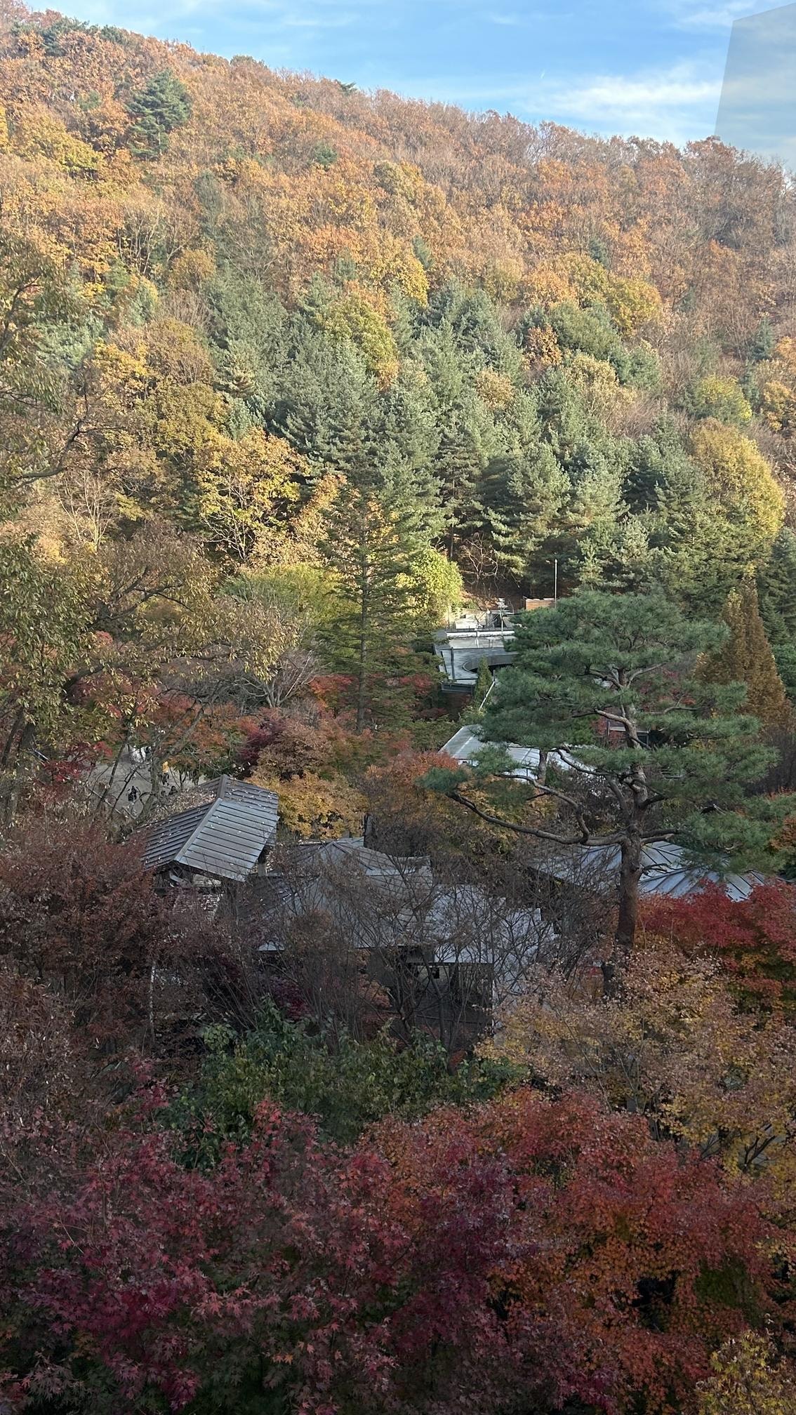 화담숲의 가을 | 화담숲, 곤지암리조트, 가을, 단풍놀이, 화담숲단풍구경 | 스탠바이 STANDBUY 디지털 콘텐츠