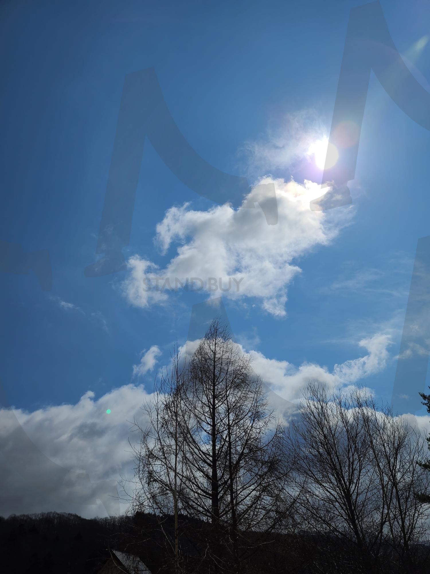 일본 하늘 | 태양, 나무, 하늘, 구름, 풍경 | 스탠바이 STANDBUY 디지털 콘텐츠