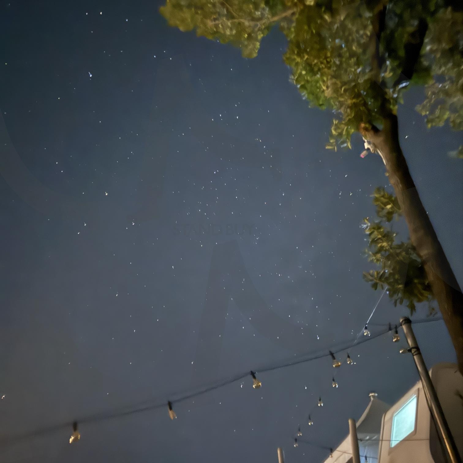 밤하늘 | 별, 야경, 하늘, 밤, 나무 | 스탠바이 STANDBUY 디지털 콘텐츠