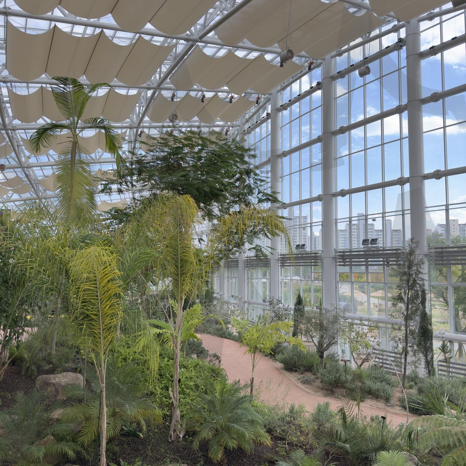 수목원 | 수목원, 나무, 꽃, 온대, 식물 | 스탠바이 STANDBUY 디지털 콘텐츠