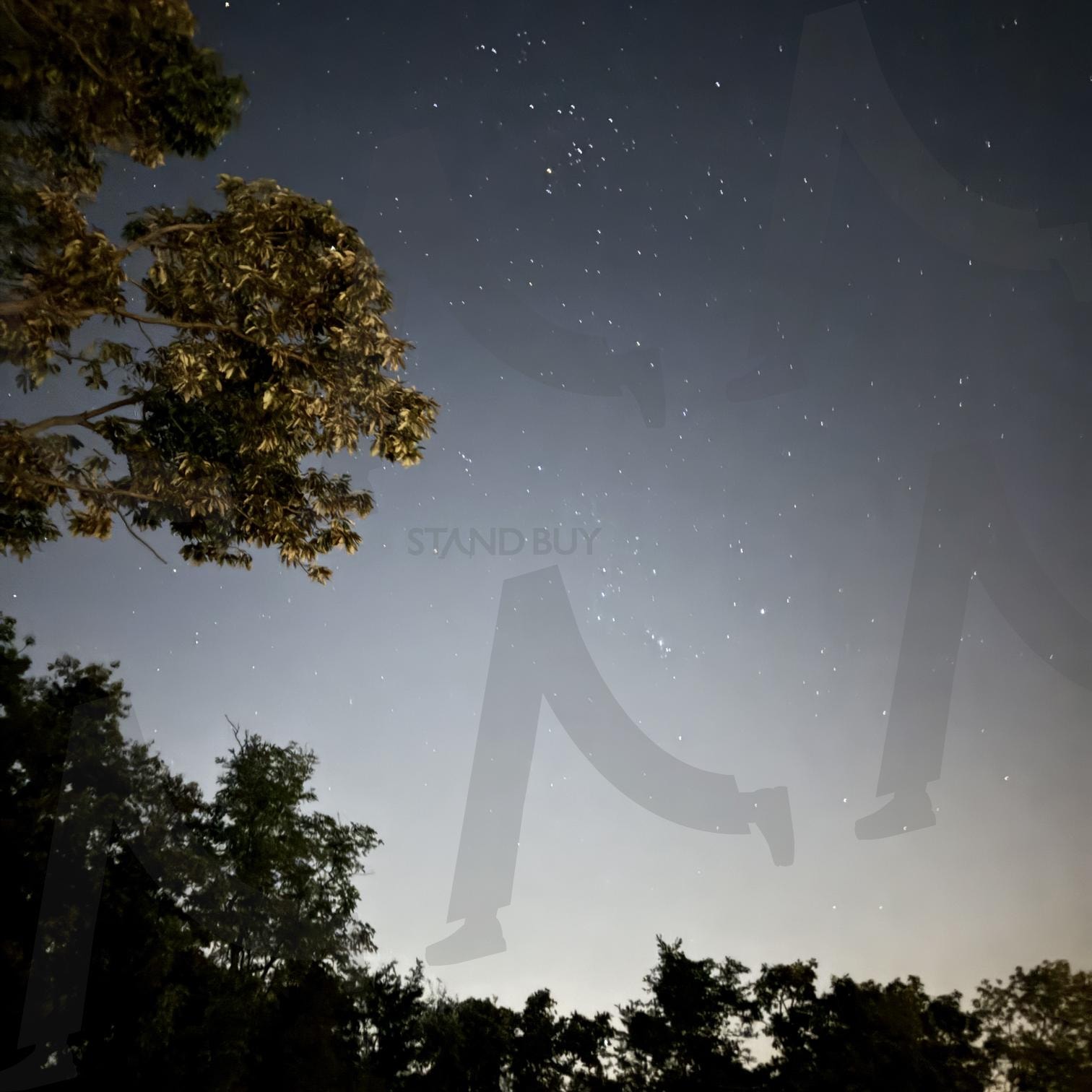 밤하늘 | 밤, 별, 하늘, 야경, 나무, 여행 | 스탠바이 STANDBUY 디지털 콘텐츠