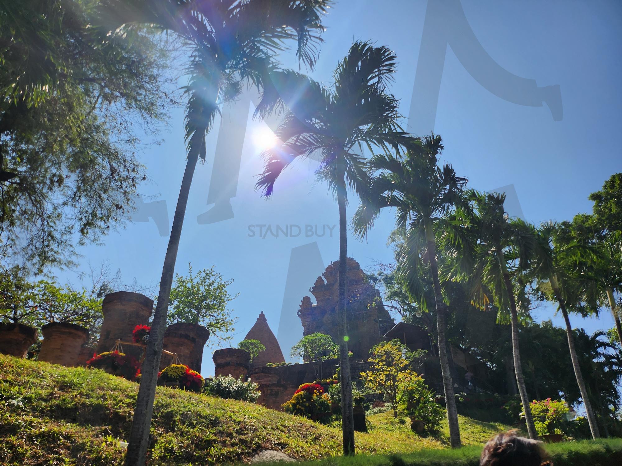 베트남 관광지 | 열대, 야자수, 태양, 경치, 하늘 | 스탠바이 STANDBUY 디지털 콘텐츠