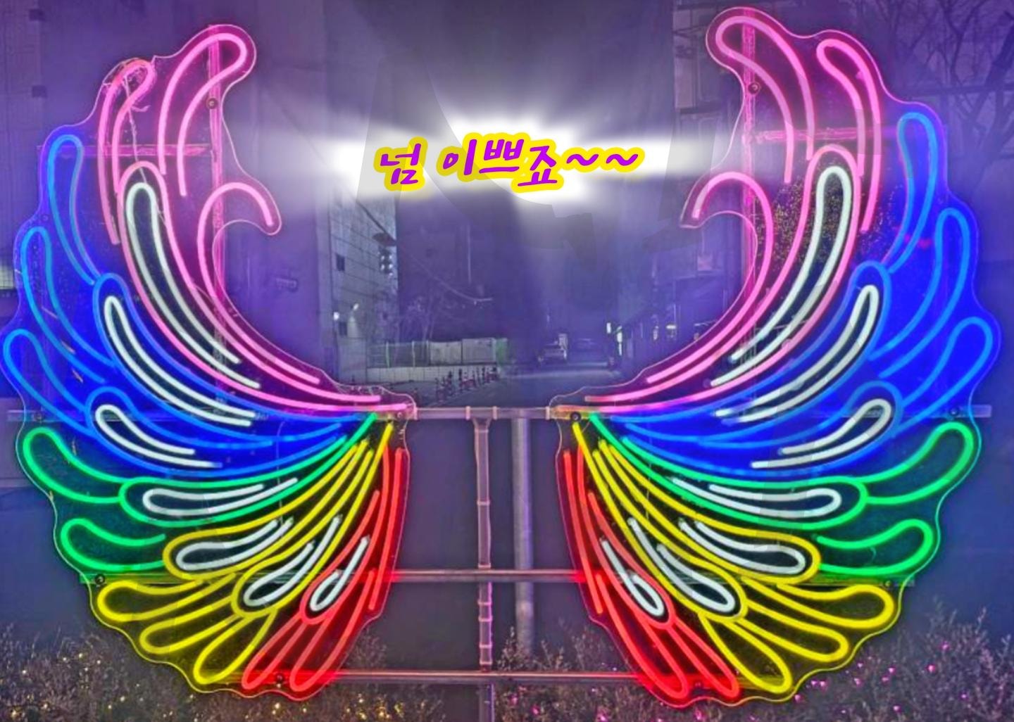 전주야경ㅡ날개짓 | 전주야경, 날개, 천사, 오거리, 객리단길 | 스탠바이 STANDBUY 디지털 콘텐츠