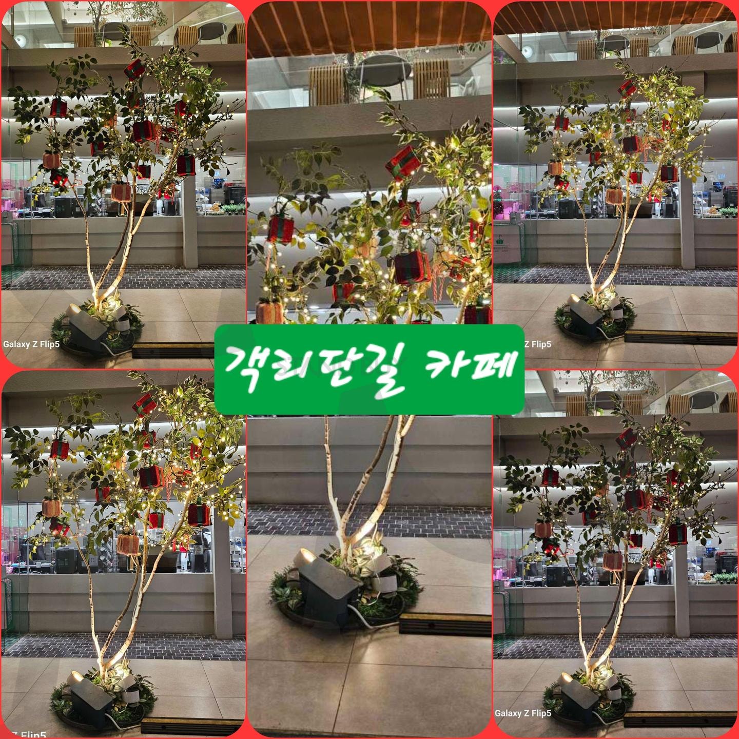 전주 객리단길 카페 | 객리단길, 카페, 트리, 장식, 입구가, 예뻐예뻐 | 스탠바이 STANDBUY 디지털 콘텐츠