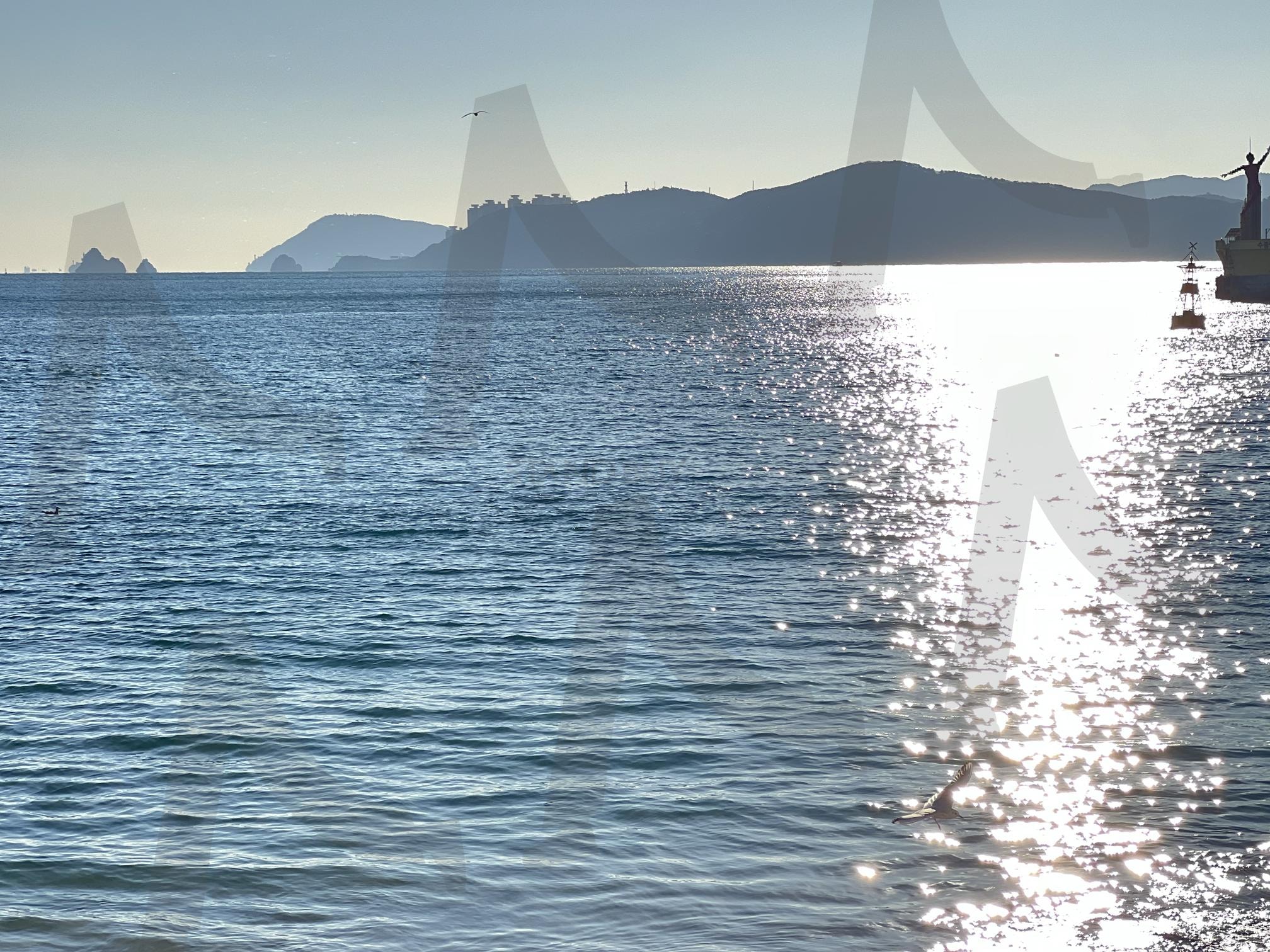 윤슬의 바다 | 바다, 윤슬, 햇볕, 윤슬바다, 한적한바다 | 스탠바이 STANDBUY 디지털 콘텐츠