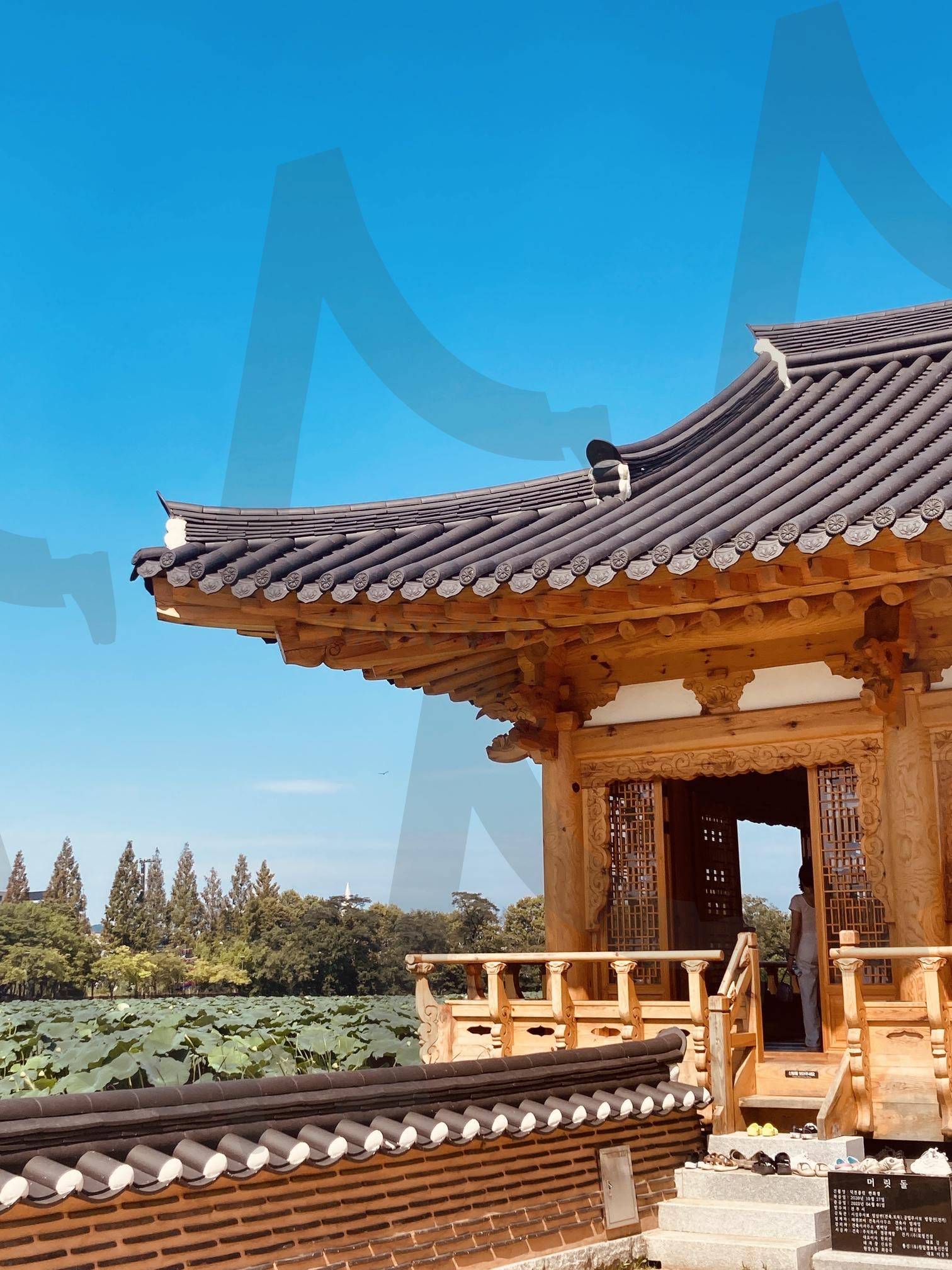 전통미가 느껴지는 연화정도서관과 자연 | 연화정도서관, 기와집 도서관, 전통 건축물, 수련 연못, 전북 여행 사진 | 스탠바이 STANDBUY 디지털 콘텐츠