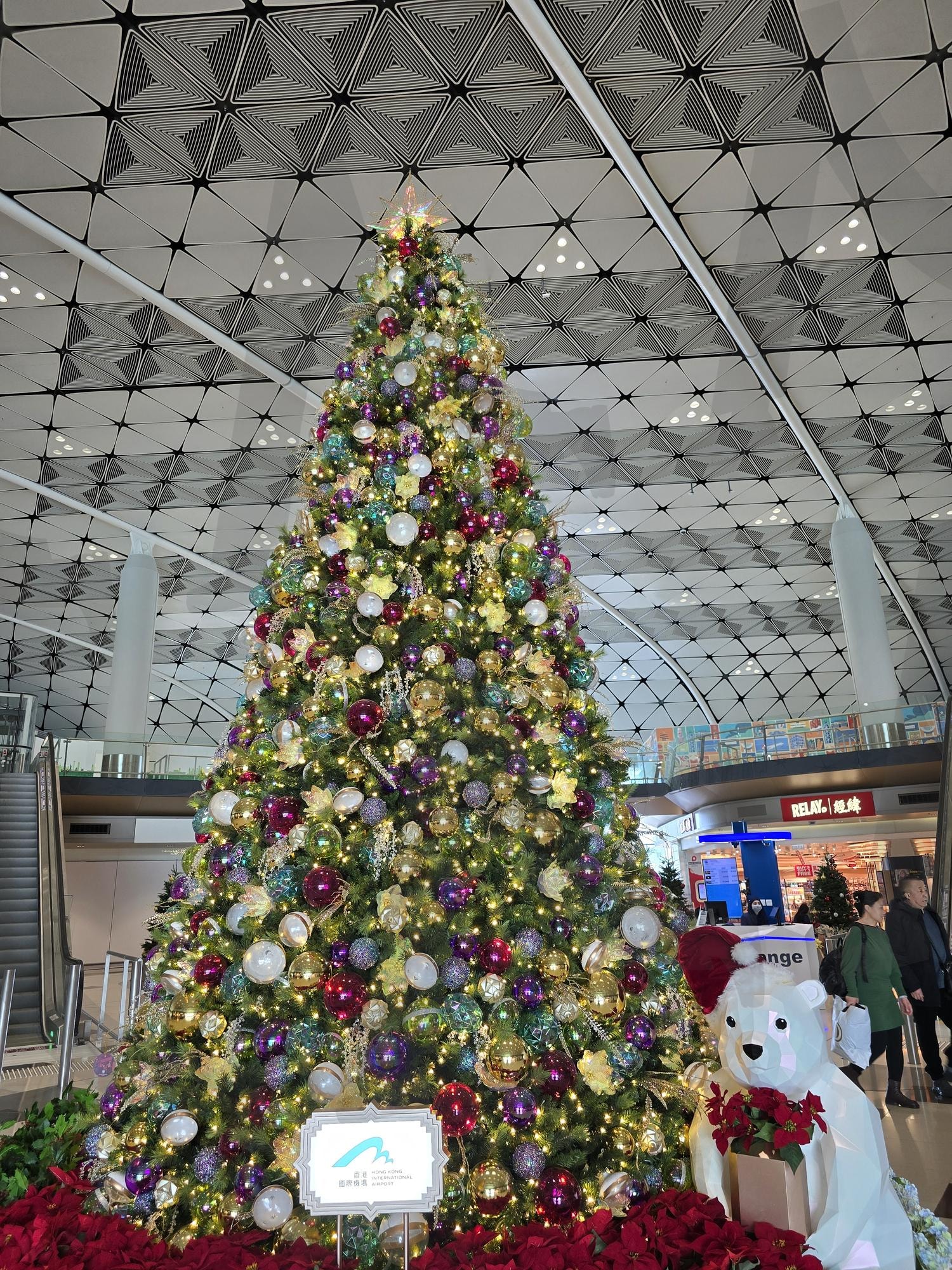 홍콩의 크리스마스 | 크리스마스, 트리, 홍콩, hongkong, Christmas tree, Christmas | 스탠바이 STANDBUY 디지털 콘텐츠