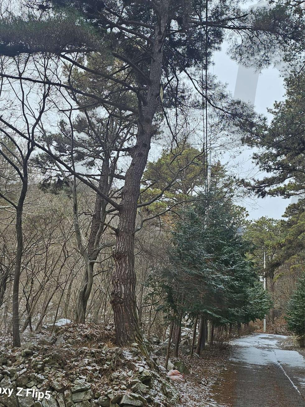 모악산 산행길 | 모악산, 산행, 주위경관, 구이, 도립미술관, 예술인자연 | 스탠바이 STANDBUY 디지털 콘텐츠