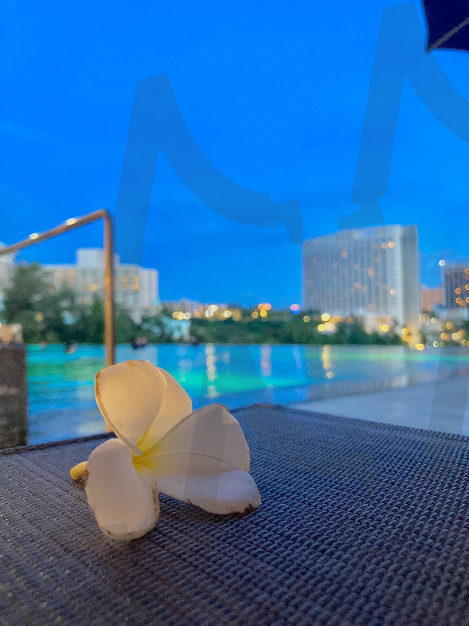 플루메리아, 밤의 수영장을 기역하며 | 플루메리아, 수영장, 괌, 츠바키 호텔, 야경 | 스탠바이 STANDBUY 디지털 콘텐츠