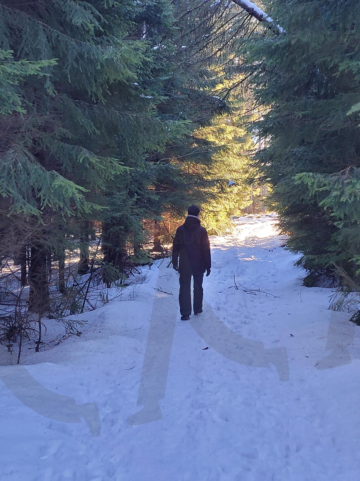 눈 덮인 숲길과 그 | 눈, 설숲, 눈덮인숲길, 걷기, 겨울하이킹, 숲산책 | 스탠바이 STANDBUY 디지털 콘텐츠