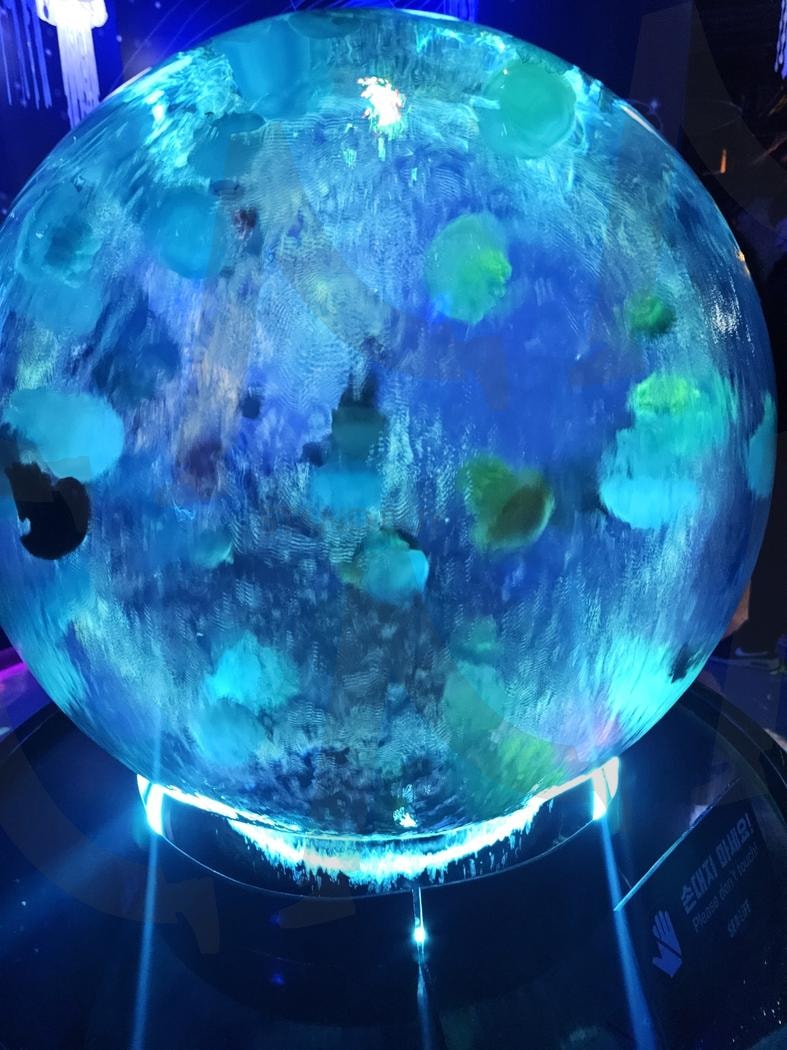 씨라이프 부산 해파리 | 부산, 아쿠아리움, 해파리, 씨라이프, 해운대 | 스탠바이 STANDBUY 디지털 콘텐츠