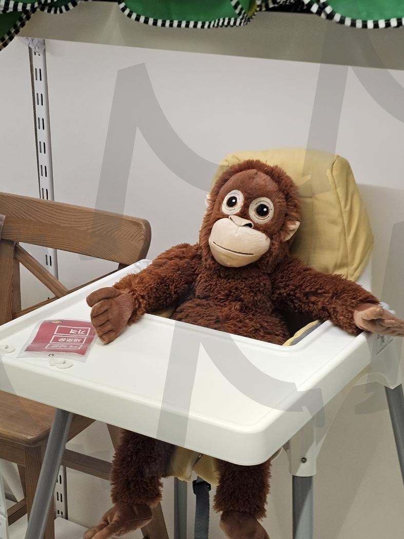 오탄이 사진 | 오랑우탄, 이케아, 오탄이, 전시, 부산, 부산이케아 | 스탠바이 STANDBUY 디지털 콘텐츠