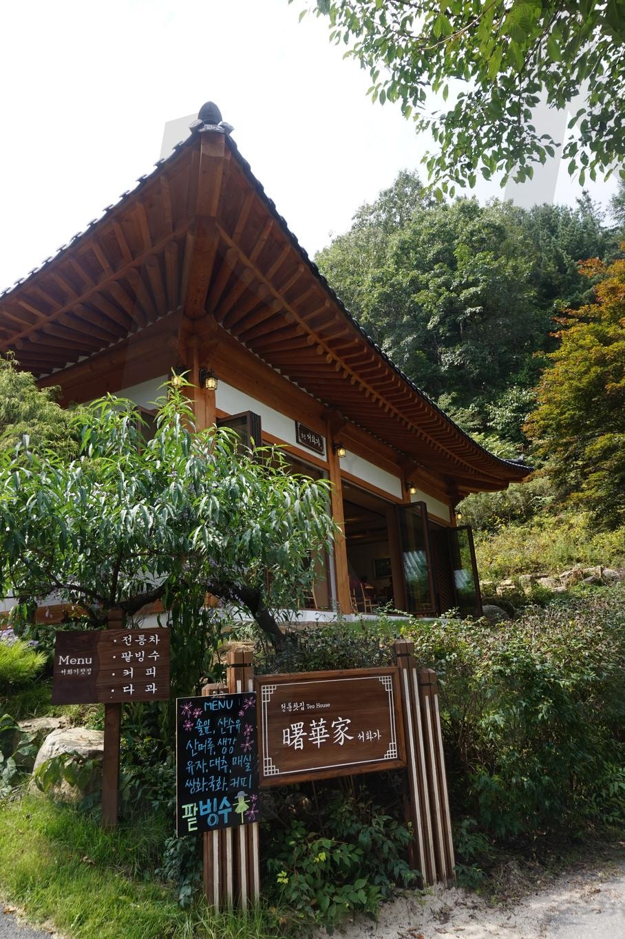 아침고요 수목원 | 수목원, 자연, 가평, 가을, 아침고요 | 스탠바이 STANDBUY 디지털 콘텐츠