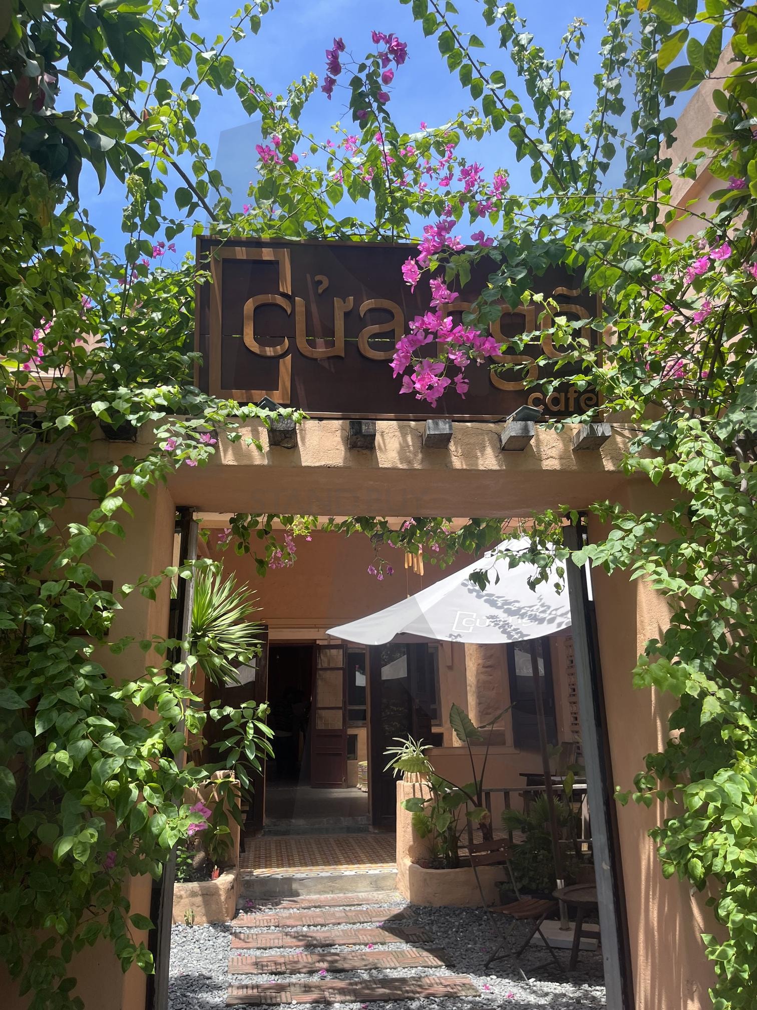 베트남 다낭 카페 | 모로코 감성, 카페, 감성 카페, 베트남 다낭, 식물 카페, 자연, 풀, 나무, 꽃 | 스탠바이 STANDBUY 디지털 콘텐츠