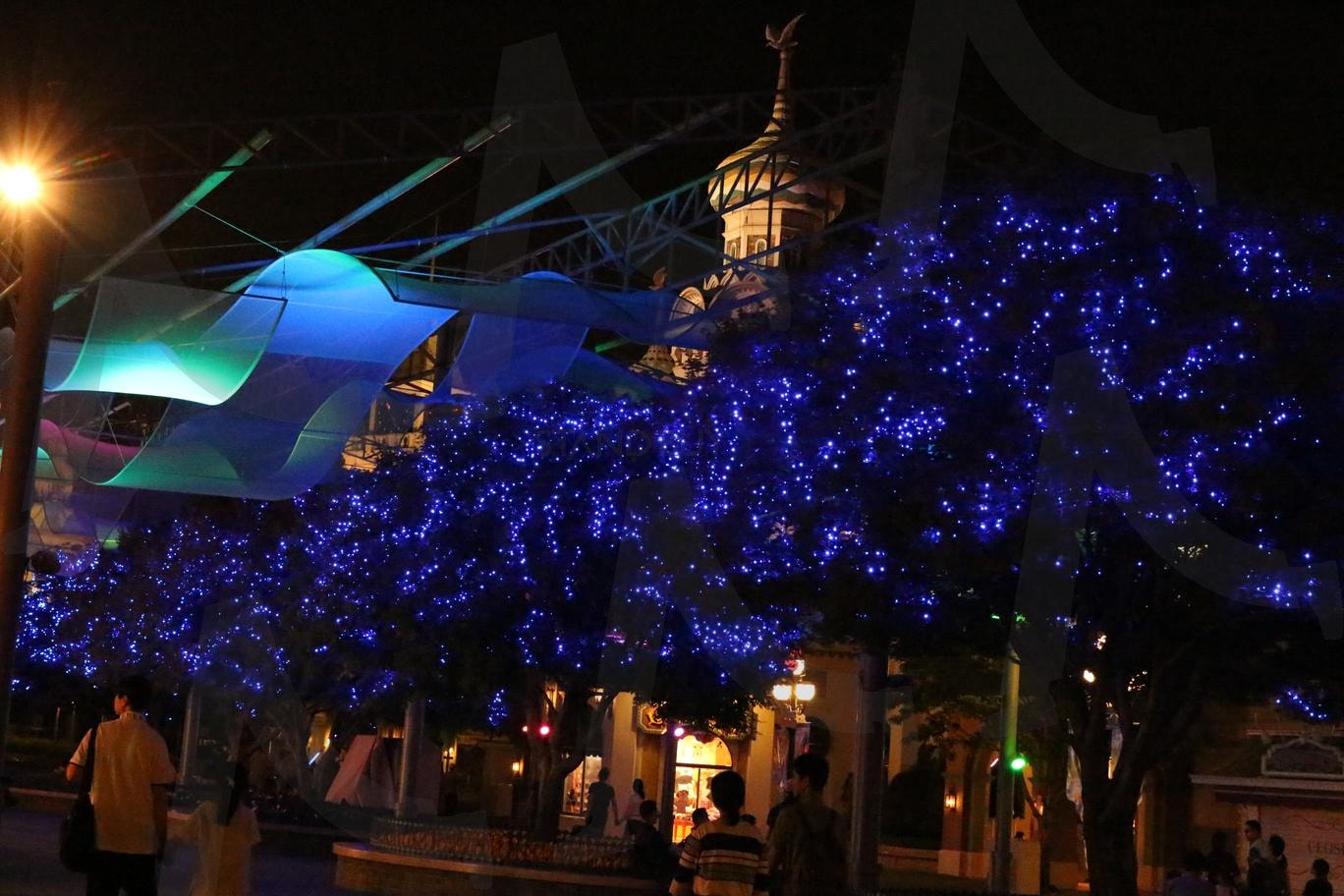 야간 조명 | 에버랜드, 놀이동산, 장식, 야간조명, 자연 | 스탠바이 STANDBUY 디지털 콘텐츠