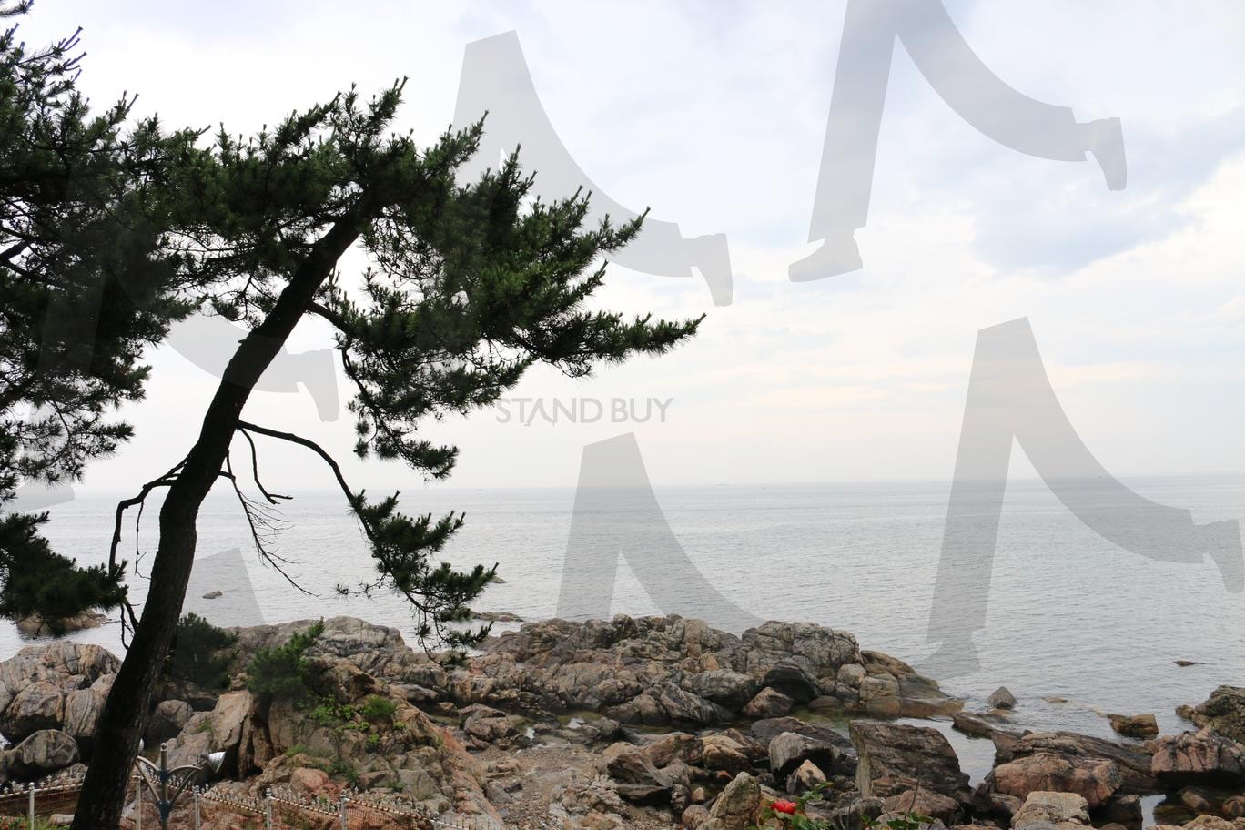 대포항 바다 | 대포항, 롯데리조트, 바다, 속초, 라마다 | 스탠바이 STANDBUY 디지털 콘텐츠