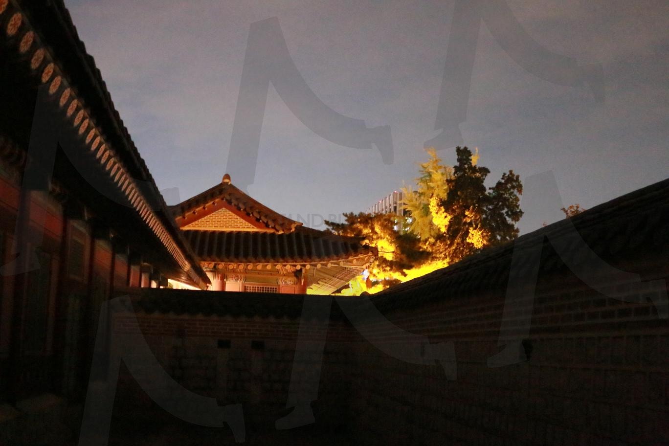 경복궁 야간내부 | 야간개장, 경복궁, 시청역, 경복궁역, 궁 | 스탠바이 STANDBUY 디지털 콘텐츠