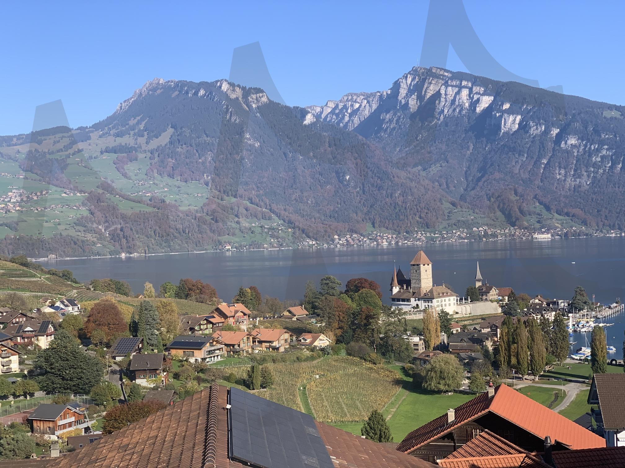 스위스 그린델발트 | 스위스, 스위스여행, 그린델발트, 융프라우, 유럽 | 스탠바이 STANDBUY 디지털 콘텐츠