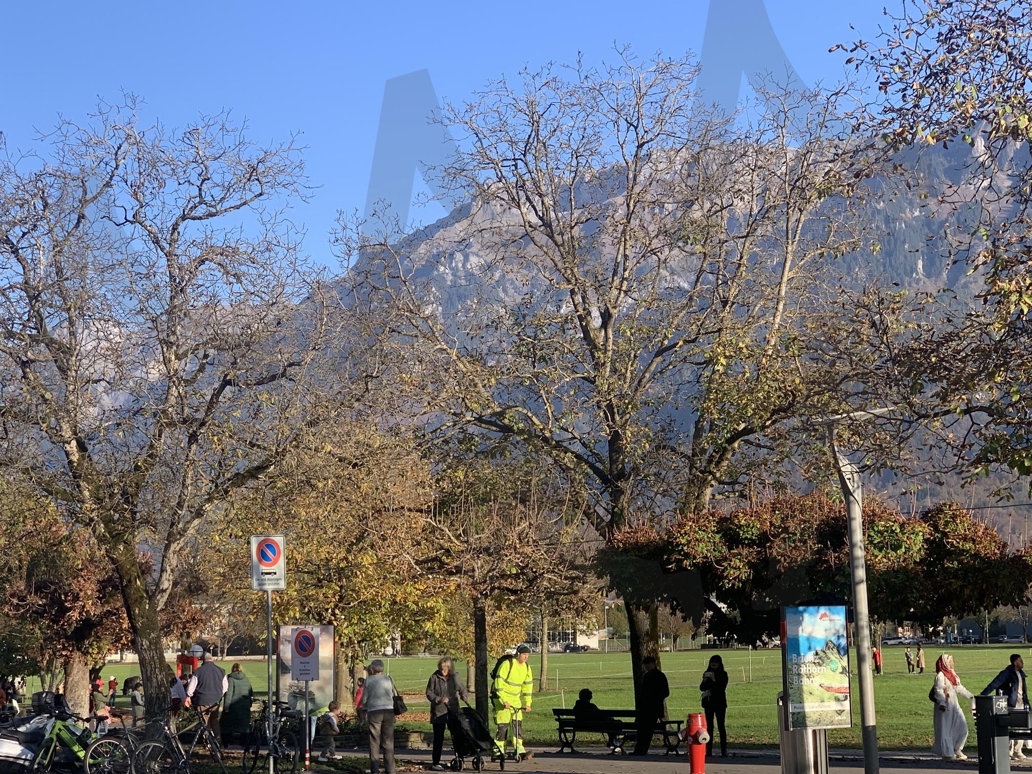 스위스 인터라켄 | 스위스여행, 스위스, 자연, 풍경, 유럽여행 | 스탠바이 STANDBUY 디지털 콘텐츠