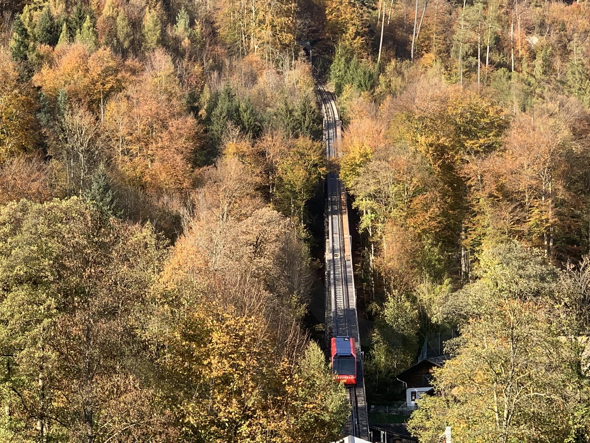 가을 빛이 물들은 스위스 인터라켄 산악기차 | 스위스, 인터라켄, 스위스여행, 유럽여행, 스위스사진 | 스탠바이 STANDBUY 디지털 콘텐츠
