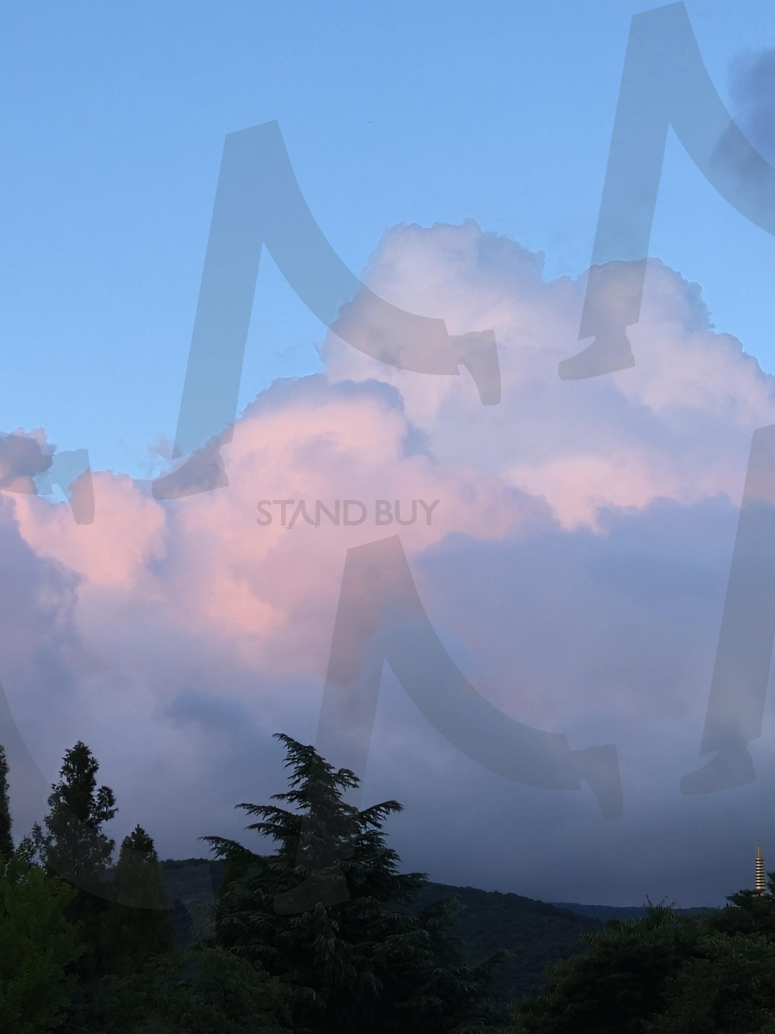 노을지는 하늘 | 노을, 하늘, 구름, 나무, 분위기, 배경, 감성 | 스탠바이 STANDBUY 디지털 콘텐츠