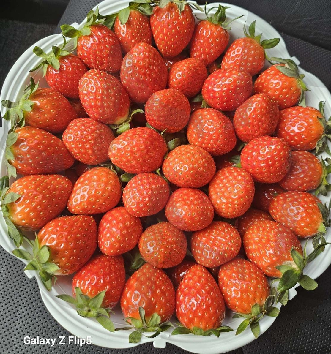 전주 로컬푸드에서 구매한 스트로베리 ㅋㅋㅋ | 딸기, 예술, 맛최고, 가격은 비싸지만, 먹을만해요 | 스탠바이 STANDBUY 디지털 콘텐츠