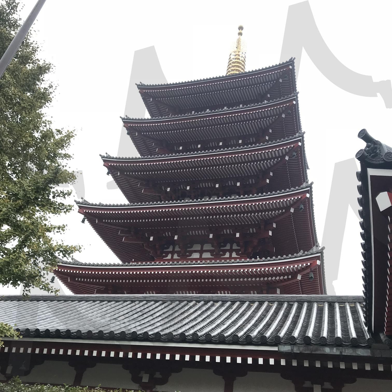 신사 | 절, 신사, 불교, 일본, 도쿄 | 스탠바이 STANDBUY 디지털 콘텐츠