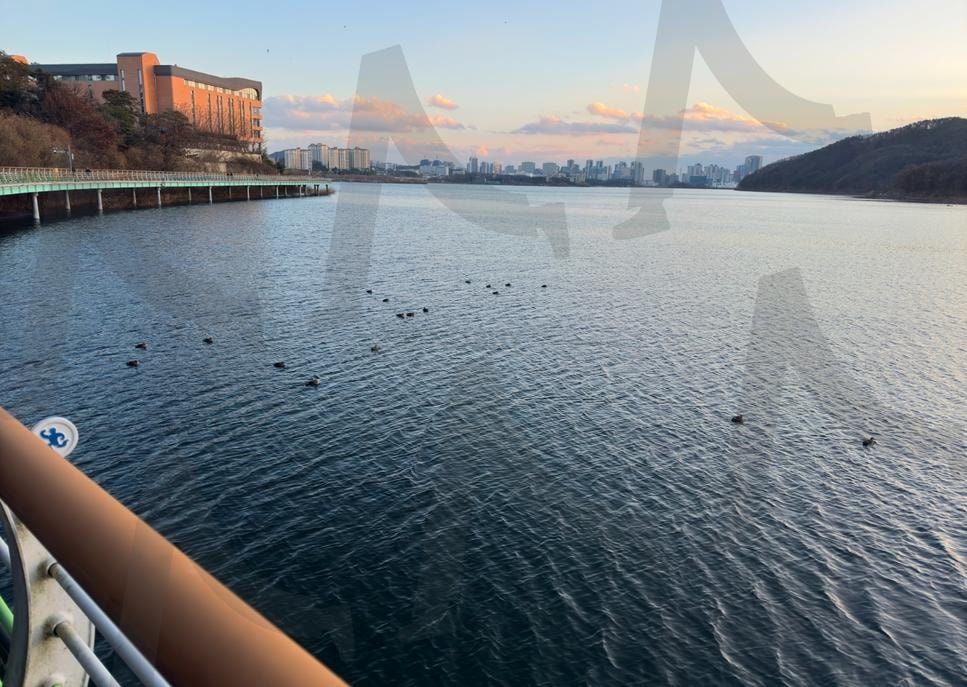 용인 기흥호수 (저화질) | 기흥호수, 호수, 오리, 용인, 노을 | 스탠바이 STANDBUY 디지털 콘텐츠