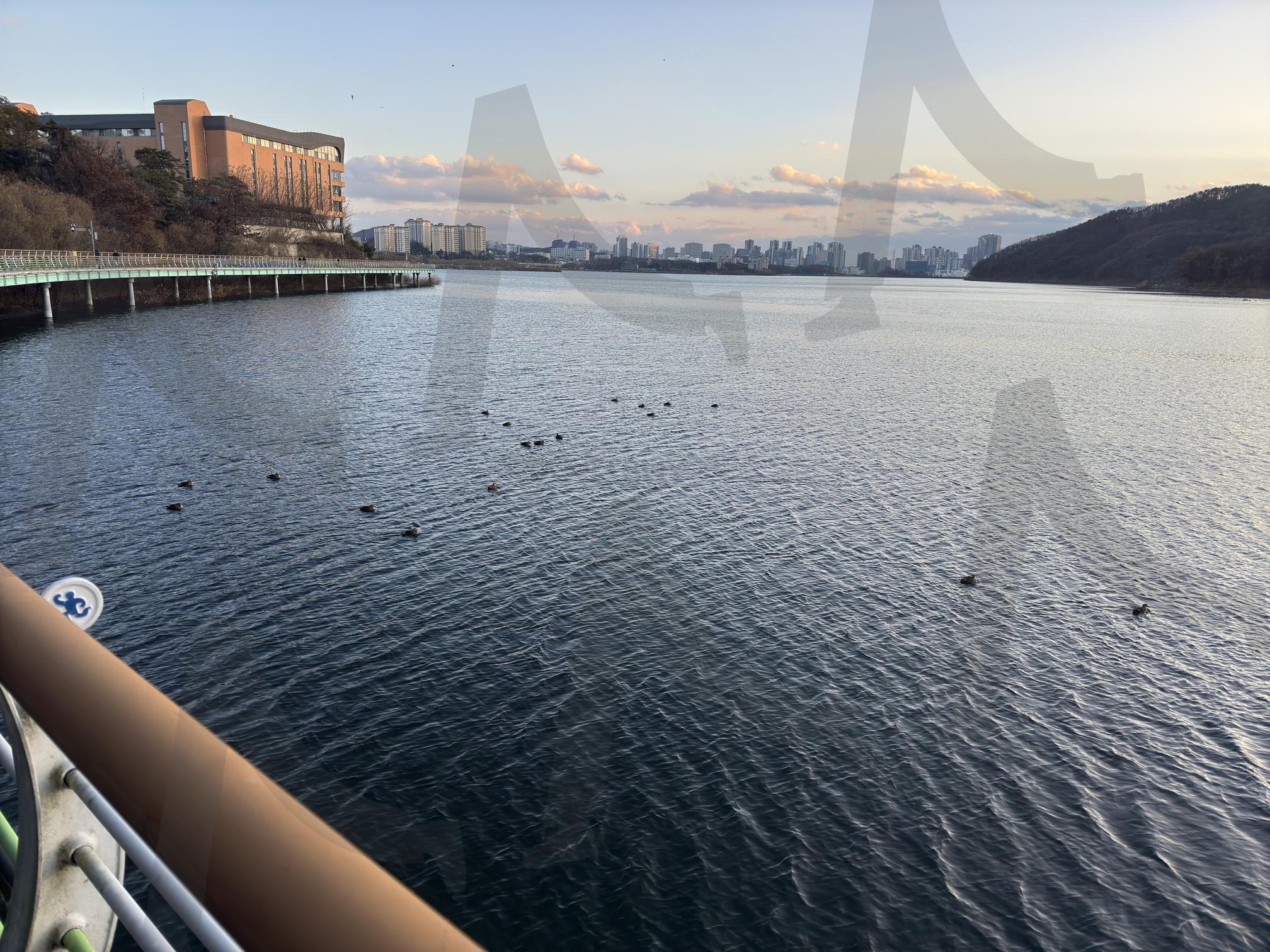 용인기흥호수 (고화질) | 용인, 기흥호수, 호수, 노을, 오리 | 스탠바이 STANDBUY 디지털 콘텐츠