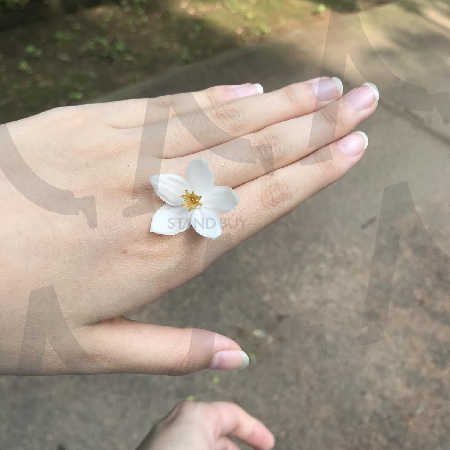 꽃 반지 | 홍릉, 수목원, 꽃, 자연, 힐링, 반지 | 스탠바이 STANDBUY 디지털 콘텐츠