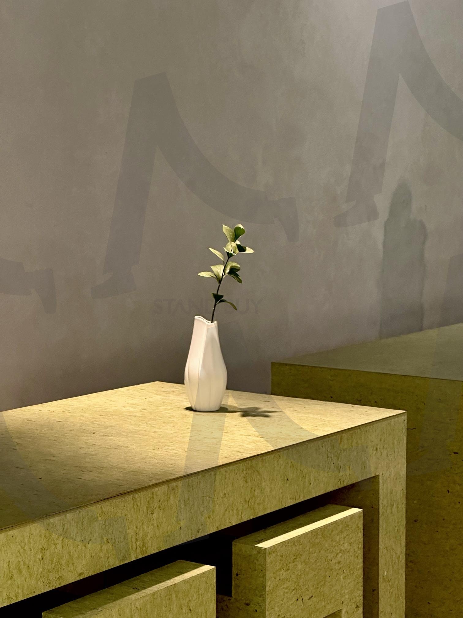 화병 | 식물, 화병, 꽃, 초록, 청춘, 카페 | 스탠바이 STANDBUY 디지털 콘텐츠