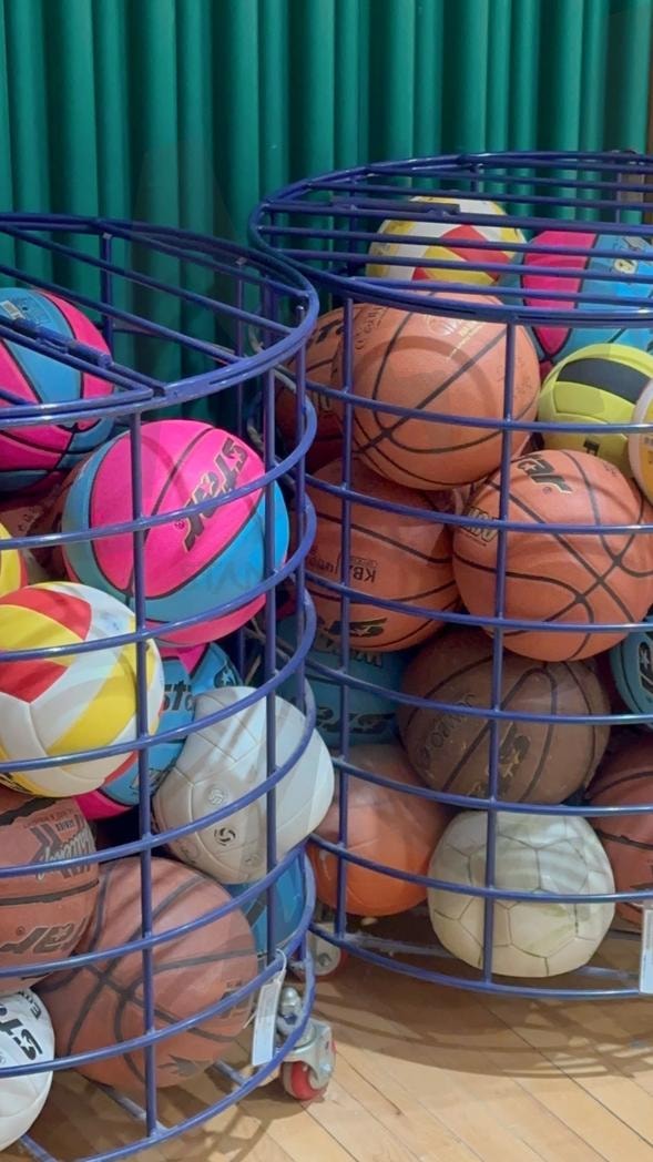 키가 작아서 공이 안들어가요 | 농구, 스포츠, 탁구, 축구, 브랜드, 공, 공놀이, 공사진, 무지개, 형광, 야구, 배구, 골프, 선수, 감성사진, 일상사진 | 스탠바이 STANDBUY 디지털 콘텐츠