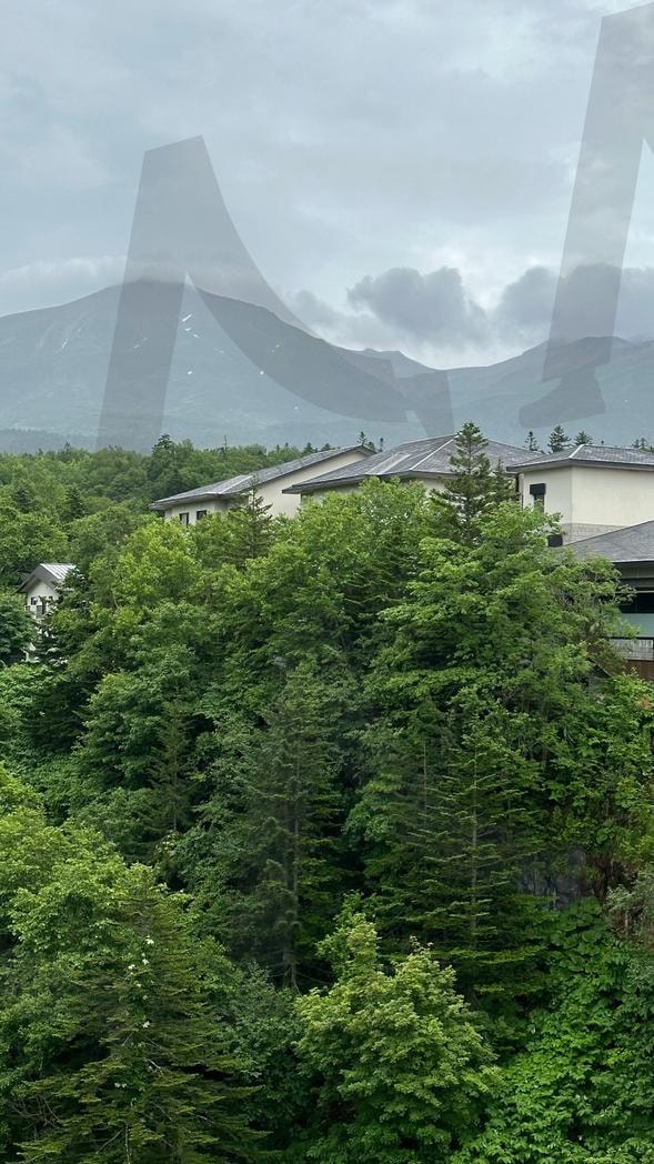 일본풍경사진 | 일본풍경, 풍경사진, 감성사진, 일본감성, 도쿄, 오사카, 삿포로, 나무, 기차, 지붕, 날씨, 감성 | 스탠바이 STANDBUY 디지털 콘텐츠