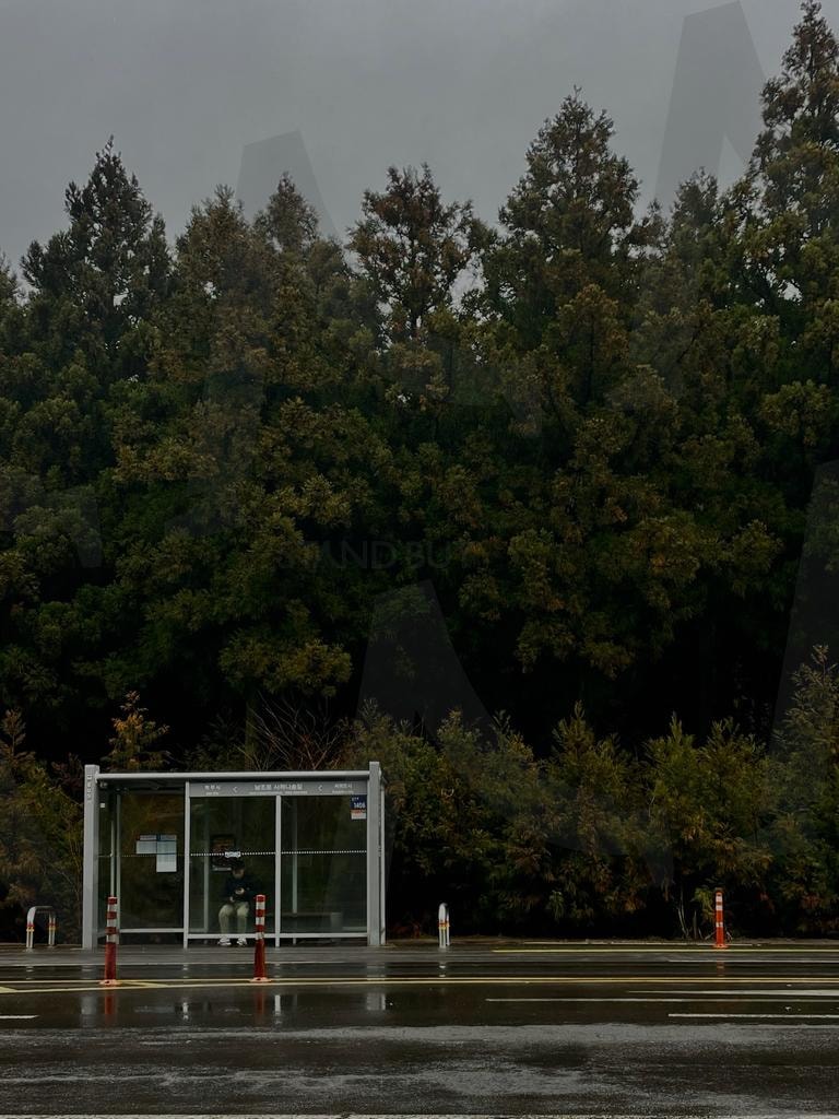 비 오늘 날의 정류장 | 비, 정류장, 숲, 고요함, 일상, 기다림, 흐린 날씨, 자연 | 스탠바이 STANDBUY 디지털 콘텐츠