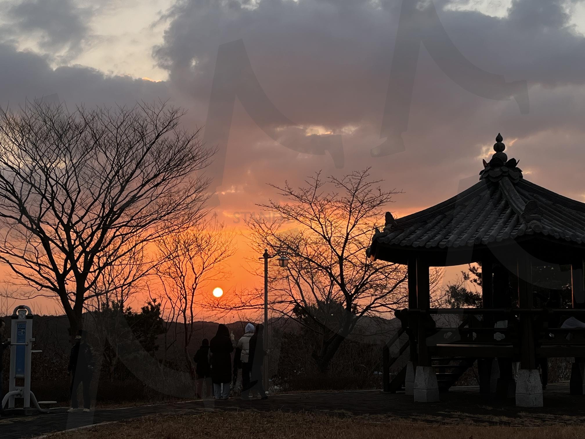 1월 1일 새해 해돋이와 전통 정자의 풍경 | 새해 일출, 해돋이, 전통 정자, 새해 풍경, 희망찬 한해 | 스탠바이 STANDBUY 디지털 콘텐츠